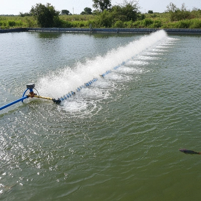 Tilapia pond with aeration system actively circulating water