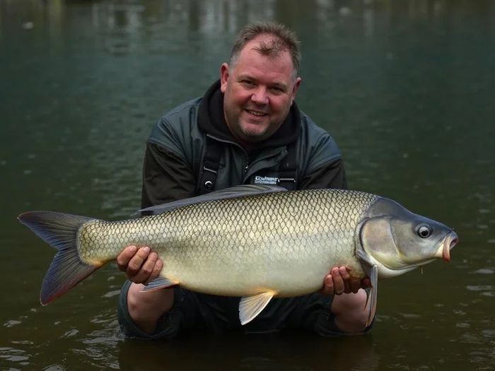 Monosex Tilapia Production: Manual Sexing and Grading Techniques